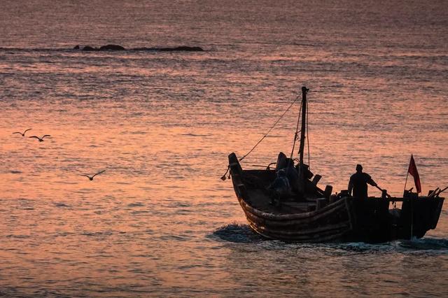 图赏 | 摄影如奇遇,有心得相逢