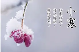 农谚“小寒不寒大寒寒，大寒不寒倒春寒”啥意思？今年啥时最冷？图片