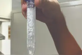 国际首例！Science：我国实现二氧化碳到淀粉从头合成图片