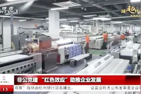 万事利集团中高管必须是党员？非公党建“红色效应”主推企业发展视频封面