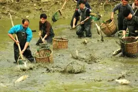 农村人请注意，“电鱼”行为不可取，一旦被查，罚款都是小事图片