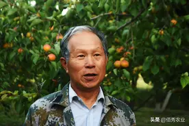 果园除草，农民选择什么样的除草剂，能够做到不伤树不伤根？图片