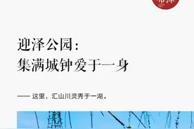 迎泽公园：集满城钟爱于一身图片