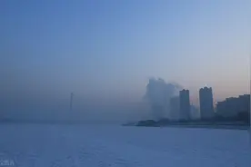 一个成药，能祛瘀血，又能辅助降血脂图片