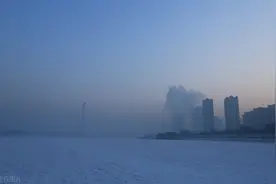 一个成药，能祛瘀血，又能辅助降血脂图片