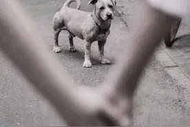 感情里怎样主动才不舔？看看你中招了没图片