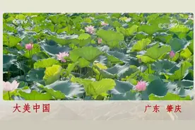 “大美肇庆”宣传片再登央视一套荧屏，借势借力借平台展现湾区新秀魅力所在图片