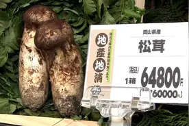 万菌之王：顶级松茸吃法大全图片