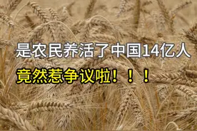 “是农民养活了中国14亿人”惹争议！竟然有人反对图片