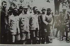 日寇酷刑，把人和狼狗一起关进地洞里图片