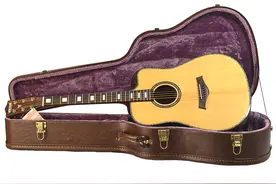 初学者入门吉他推荐选购，怎么买到适合的吉他？(新手必看知识)图片