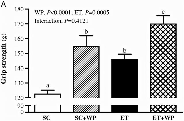 不健身直接吃蛋白粉会怎么样？
