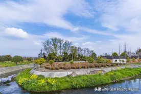 全文公布！《中华人民共和国土地管理法实施条例》9月1日起施行图片