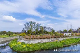 全文公布！《中华人民共和国土地管理法实施条例》9月1日起施行图片