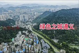 遵义市的市树是什么树？图片