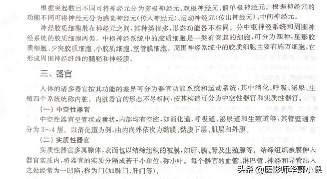 未角化复层扁平上皮的形态结构