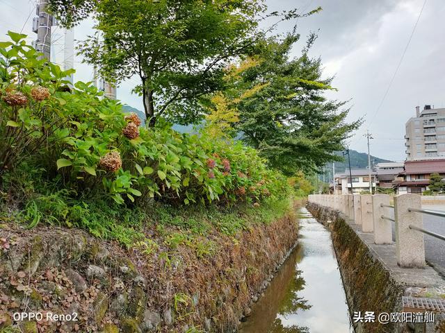 逃出温泉酒店攻略（解锁周边游逃离都市好去处 下吕温泉）