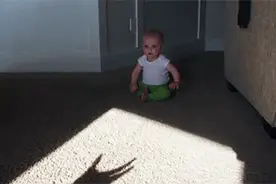 一秒变身影子魔术师！带宝宝足不出户逛“动物园”图片