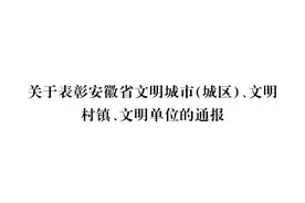 全省通报！巢湖这些地方和单位受表彰！图片