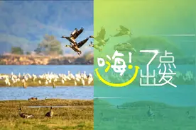 2021年放假安排，来了！| 嗨！七点出发图片