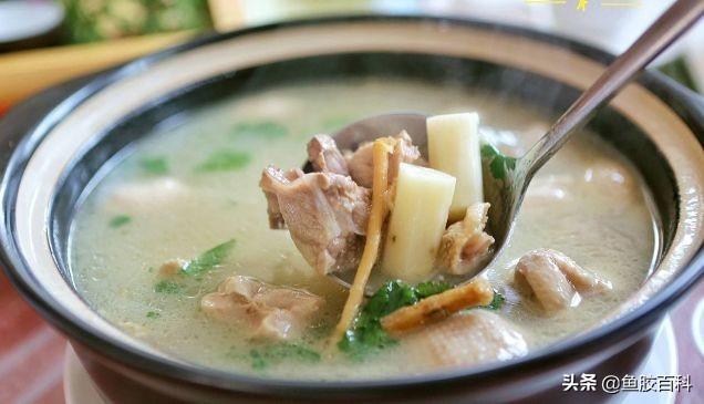 花胶鱼汤的做法大全窍门 花胶鱼汤的做法大全窍门图片