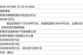 东莞南城新盘一览——海德珺庭（已备案投资）图片