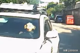 四川男子戴猪八戒面具开车 摇头晃脑看懵路人图片