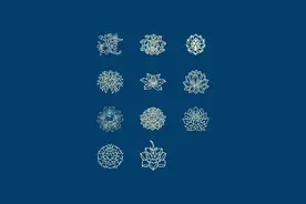 收藏干货！中国风图案 花纹传统古典图案 边框底纹 矢量图案图片