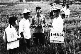 当上民办教师以来，我在课堂上是教师，放学后耕田锄地图片
