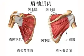 肩痛＝肩周炎？错！六成肩痛都是这种病图片