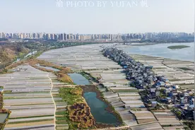 重庆最大的蔬菜基地，主城三分之一的菜来自这里，知道是哪里吗？图片