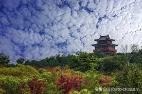 河北石家庄：层林尽染 秋花烂漫图片