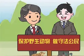 养鸟逗趣惹上官司他获刑7个月图片