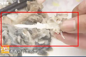 剖开鱼头，寒光一闪，奇特的雅鱼头上居然找到一柄宝剑~真的假的视频封面