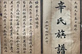 《安丘辛氏族谱》图片