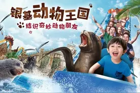 河南度假区“一碗烩面88元”惹争议：背后开发商为银基集团 总投资560亿图片