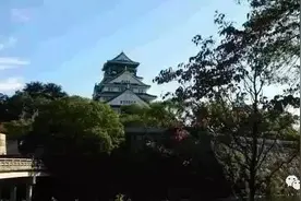 日本古玩市场游记，和中国的有什么不一样图片