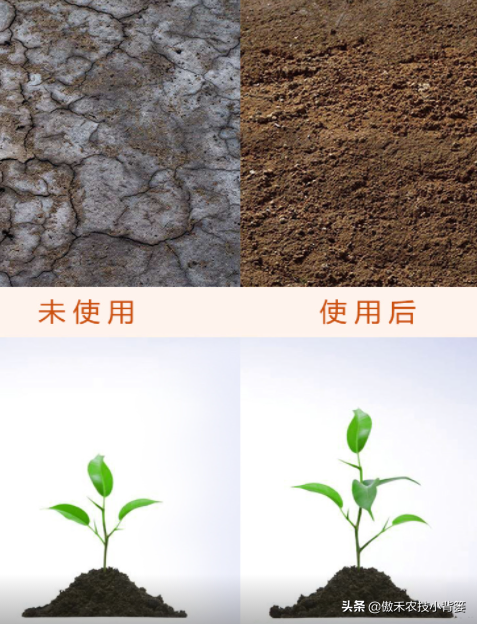 腐植酸、氨基酸、海藻酸、鱼蛋白，如何辨别挑选？各有什么优点？