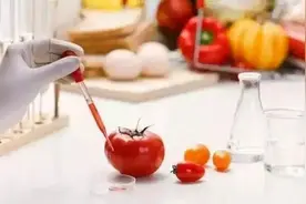 特医食品是干嘛的？和普通食品有什么区别？今天带你了解TA图片