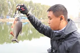 新入坑路亚的钓友越来越多，一篇基础攻略让新手少走弯路不空军图片