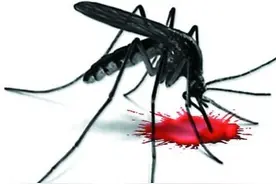 重庆杀虫公司教您宿舍杀虫小妙招,有的放矢才有效图片