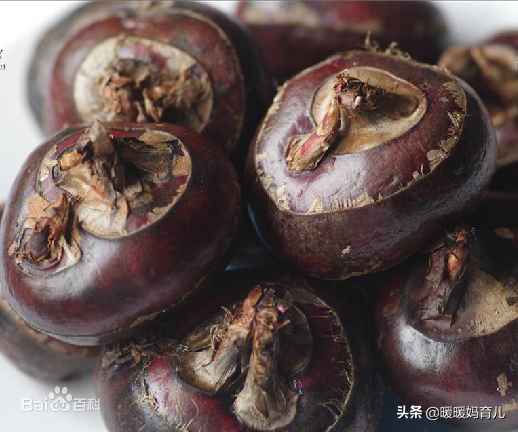 荸荠花胶 2026年马蹄花胶功效与作用