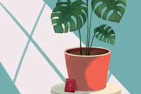 “结婚4年，我不想给他生小孩”｜告诫：别嫁给只会对你好的人图片