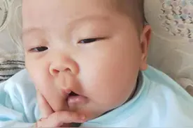 压垮生育率的只是教育吗，为什么我32岁才刚刚下决心生孩子？图片