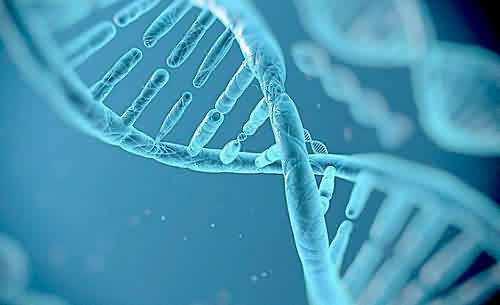 肽粉怎么做面膜效果更好 2025年肽粉怎么做面膜效果更好一些