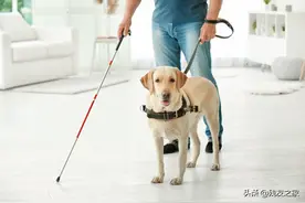 盲人办理《残疾人证》时，你能评为几级？我来为你解答图片