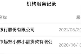 花呗又有新动作图片