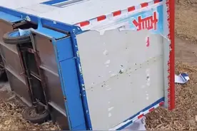 网传长春某网红赶马车环游世界翻车 家属讲述事发经过与事发原因图片