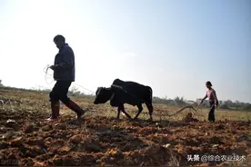 我是农民，只想说说自己的心里话图片