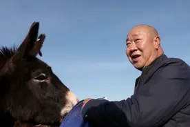 铁矿老板改行养驴，年销售额突破八百多万元，带领乡亲走上致富路图片